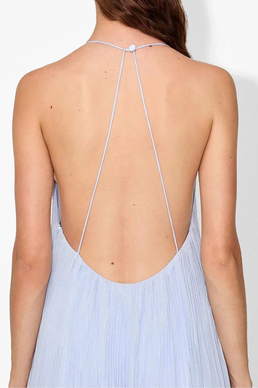 Haydin Maxi Dress - Hydrangea