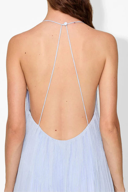 Haydin Maxi Dress - Hydrangea