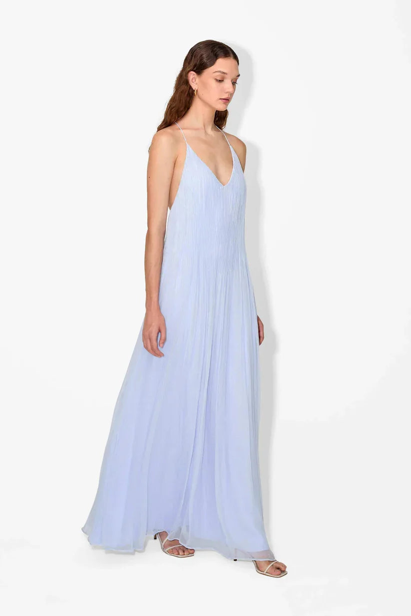 Haydin Maxi Dress - Hydrangea